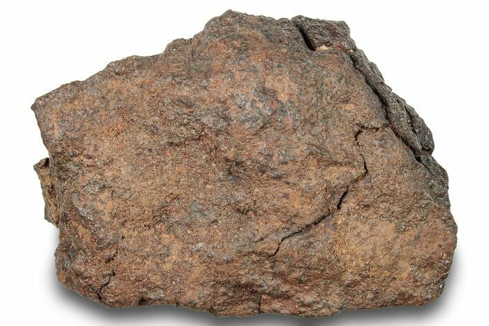 Chondrite Meteorite ( g) - Western Sahara Desert #247496